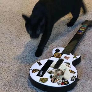 樱井莉亚无码潮喷✘✘✘
